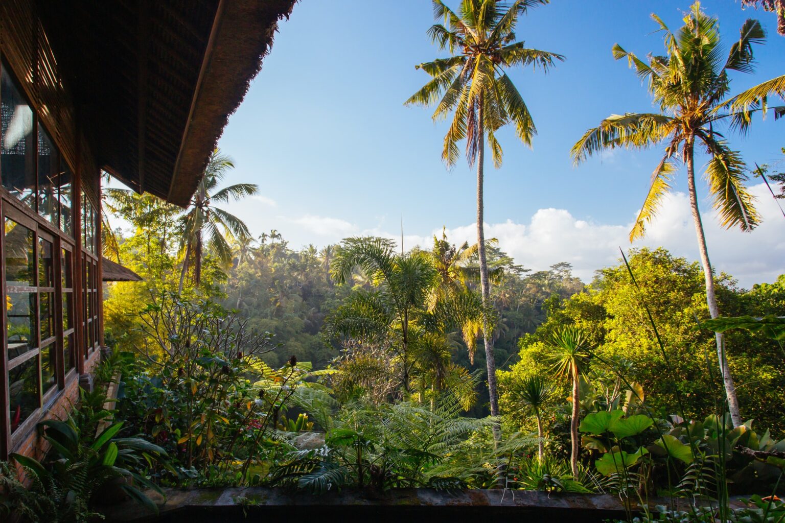 luxury-villa-view-near-ubud-bali-indonesia.jpg