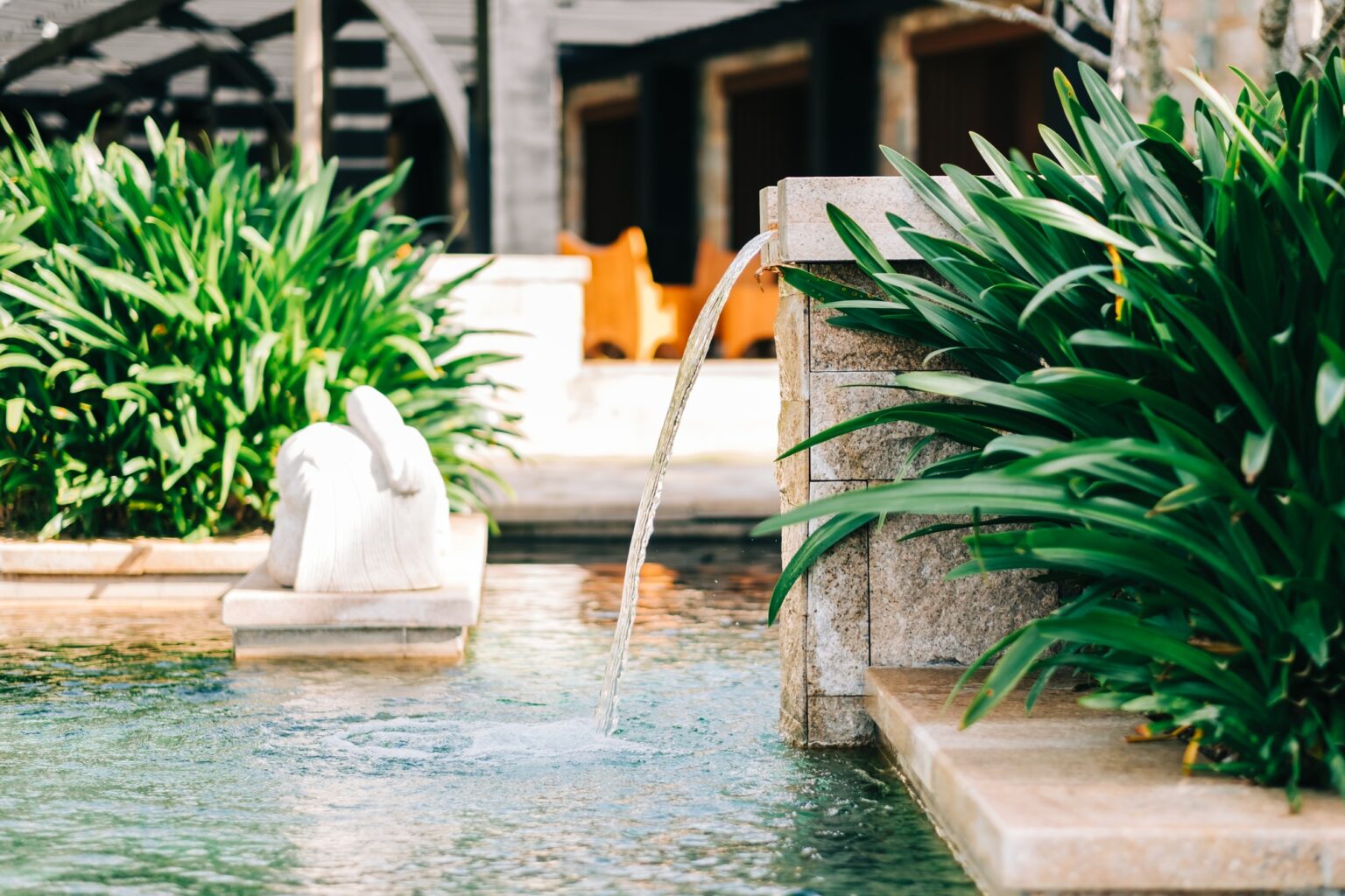 turquoise-water-pool-exterior-in-tropics-with-green-vegetation-sunny-day.jpg